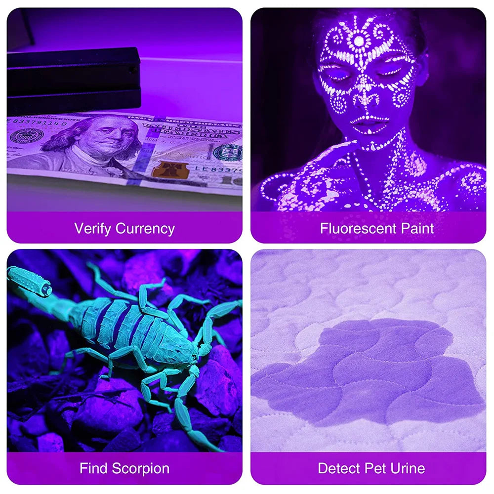 UV Blacklight Flashlight – 12 LED 395nm Pet Urine & Stain Detector | Waterproof