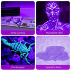 UV Blacklight Flashlight – 12 LED 395nm Pet Urine & Stain Detector | Waterproof