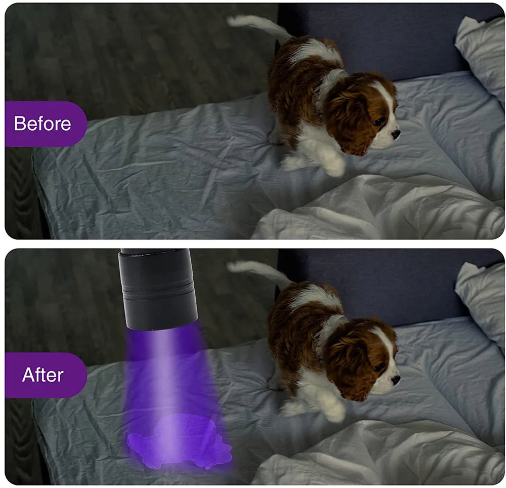 UV Blacklight Flashlight – 12 LED 395nm Pet Urine & Stain Detector | Waterproof