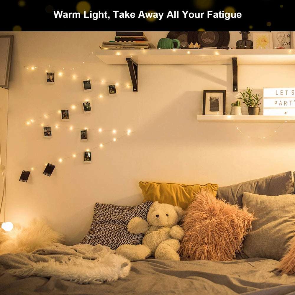 LED Fairy Lights with Photo Clips | USB or Battery Powered | White & Warm White