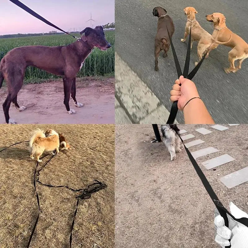 Holapet Long Nylon Dog Training Leash – 1.5m to 50m | All Breeds