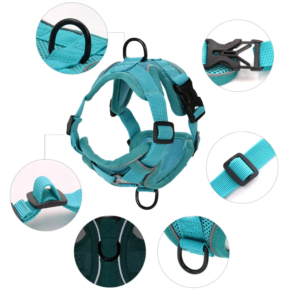Reflective Dog Harness & Leash Set – Breathable Vest for Small & Medium Dogs and Cats-