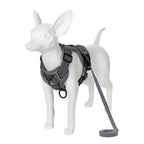 Reflective Dog Harness & Leash Set – Breathable Vest for Small & Medium Dogs and Cats-