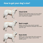 Instructions on how to measure a dog's size with images of a white dog and text explaining chest girth, back length, and neck girth measurement