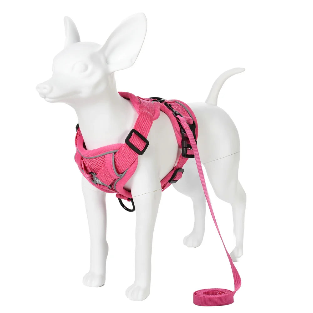 Reflective Dog Harness & Leash Set – Breathable Vest for Small & Medium Dogs and Cats-