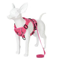 Reflective Dog Harness & Leash Set – Breathable Vest for Small & Medium Dogs and Cats-