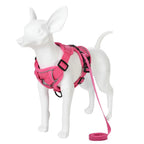 Reflective Dog Harness & Leash Set – Breathable Vest for Small & Medium Dogs and Cats-