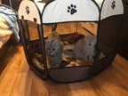 wo gray cats inside a pet playpen on a wooden floor.