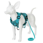 Reflective Dog Harness & Leash Set – Breathable Vest for Small & Medium Dogs and Cats-