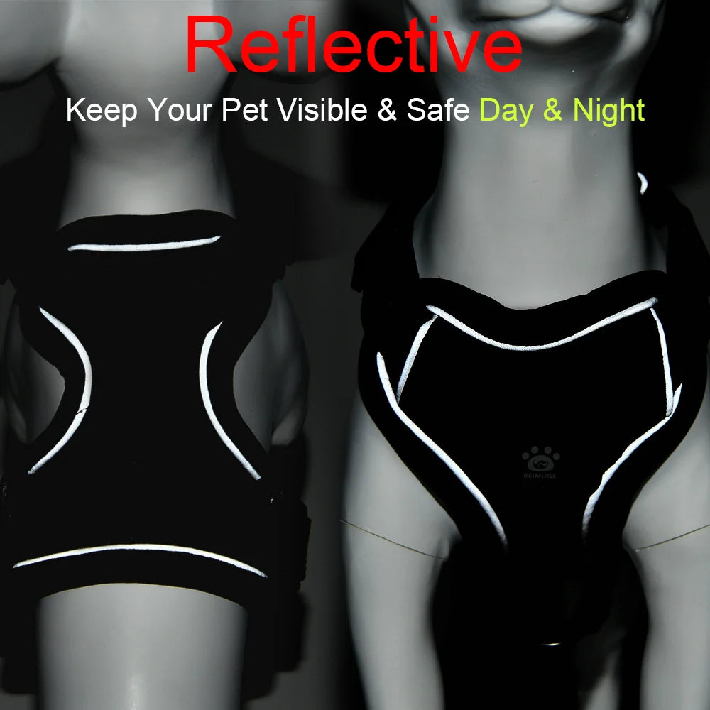 Reflective Dog Harness & Leash Set – Breathable Vest for Small & Medium Dogs and Cats-