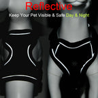 Reflective Dog Harness & Leash Set – Breathable Vest for Small & Medium Dogs and Cats-