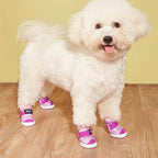 Dog Boots & Paw Protectors – Water-Resistant Winter Shoes for Small, Medium & Large Dogs