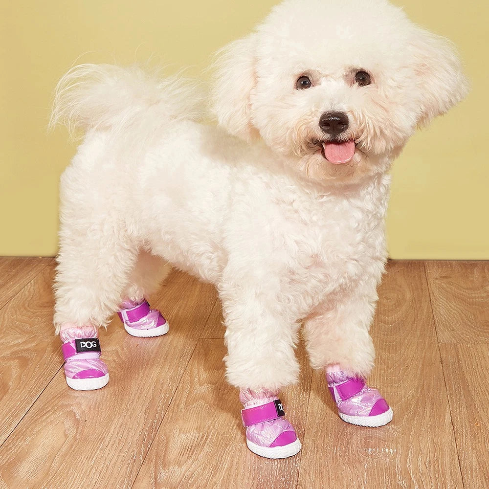 Dog Boots & Paw Protectors – Water-Resistant Winter Shoes for Small, Medium & Large Dogs