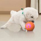 Interactive LED Rolling Dog Ball Toy – Auto-Moving & Rechargeable