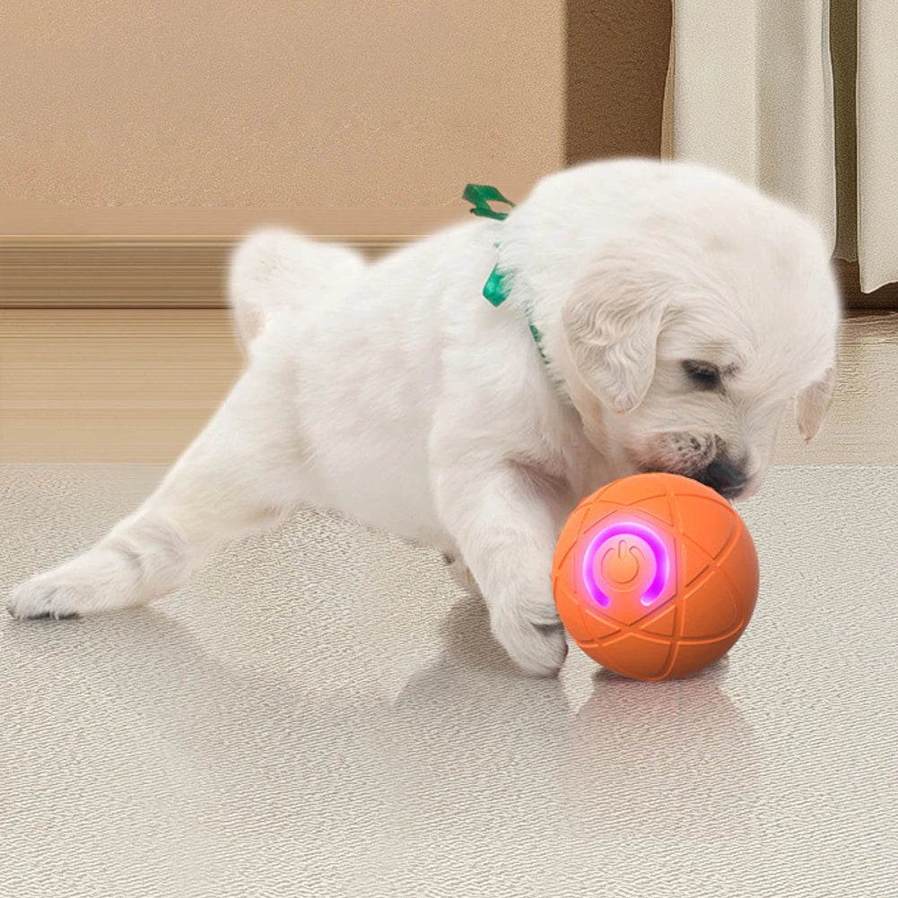 Interactive LED Rolling Dog Ball Toy – Auto-Moving & Rechargeable