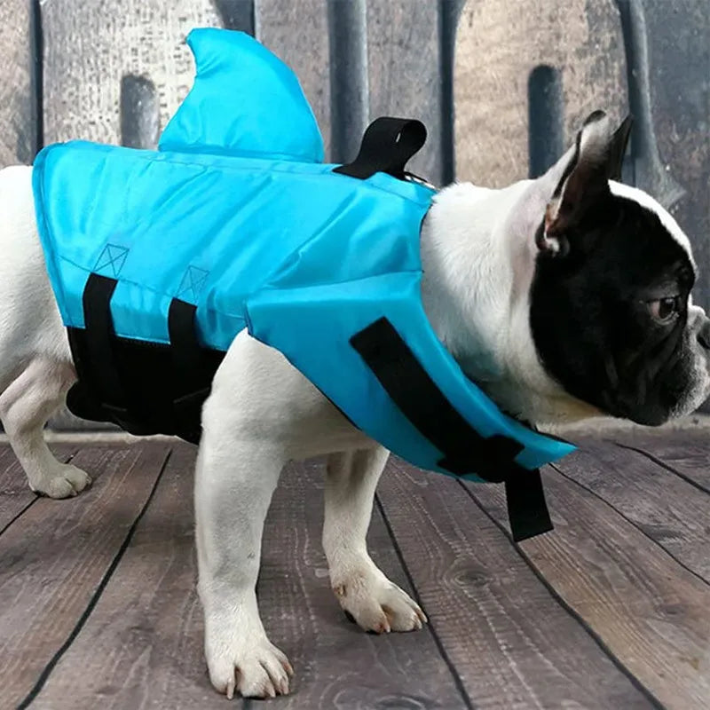 Dog wearing a blue shark fin costume on a wooden floor.