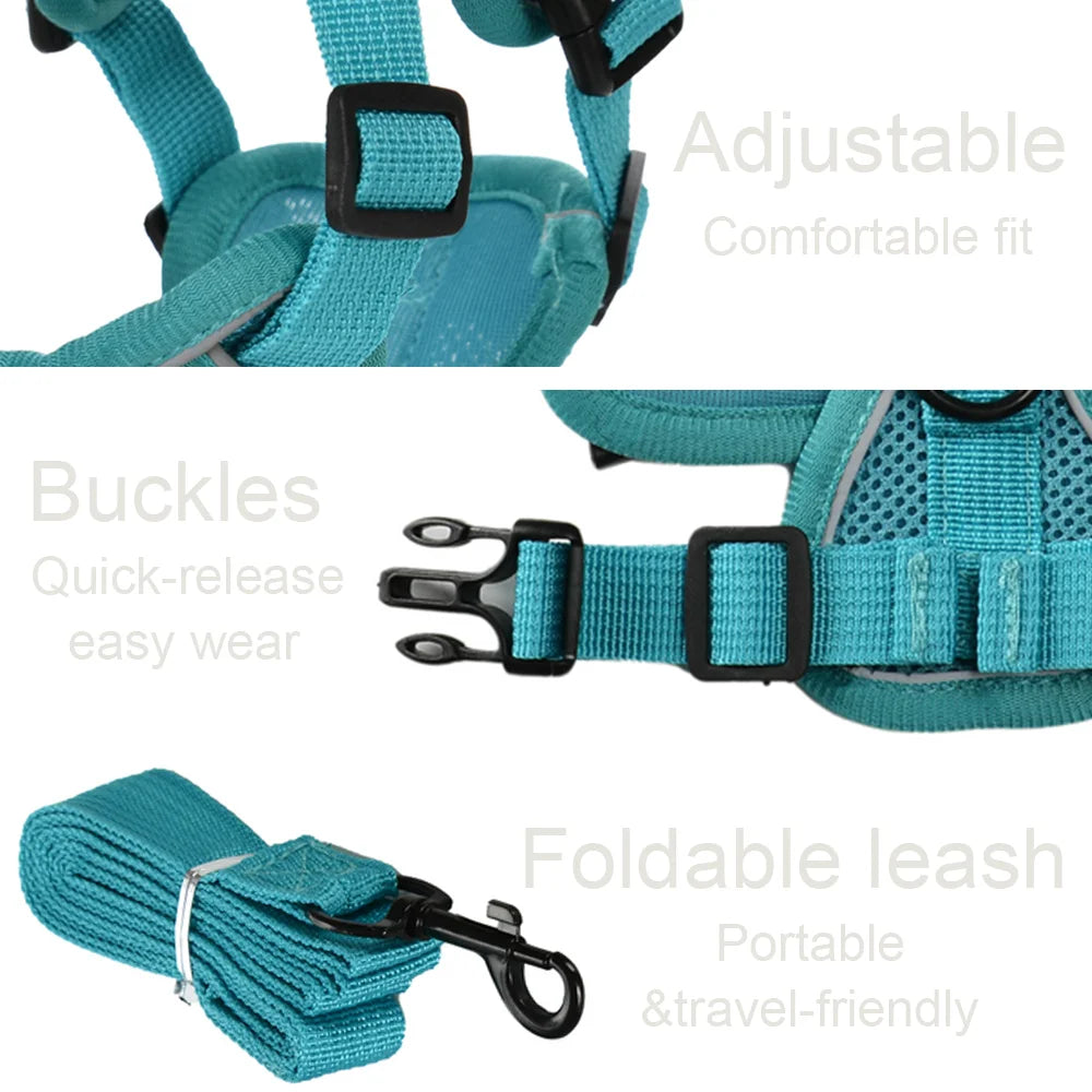Reflective Dog Harness & Leash Set – Breathable Vest for Small & Medium Dogs and Cats-