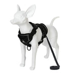 Reflective Dog Harness & Leash Set – Breathable Vest for Small & Medium Dogs and Cats-