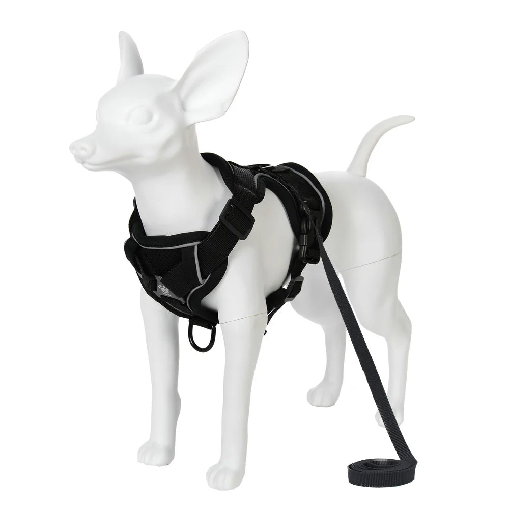 Reflective Dog Harness & Leash Set – Breathable Vest for Small & Medium Dogs and Cats-