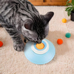 Licking Mat for Dogs Slow Feeder Dog Bowls Anti-Choking Snuffle