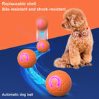 Interactive LED Rolling Dog Ball Toy – Auto-Moving & Rechargeable