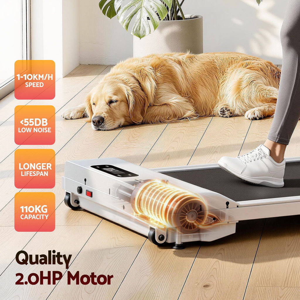 Person using a treadmill with a dog lying on the floor in a home setting