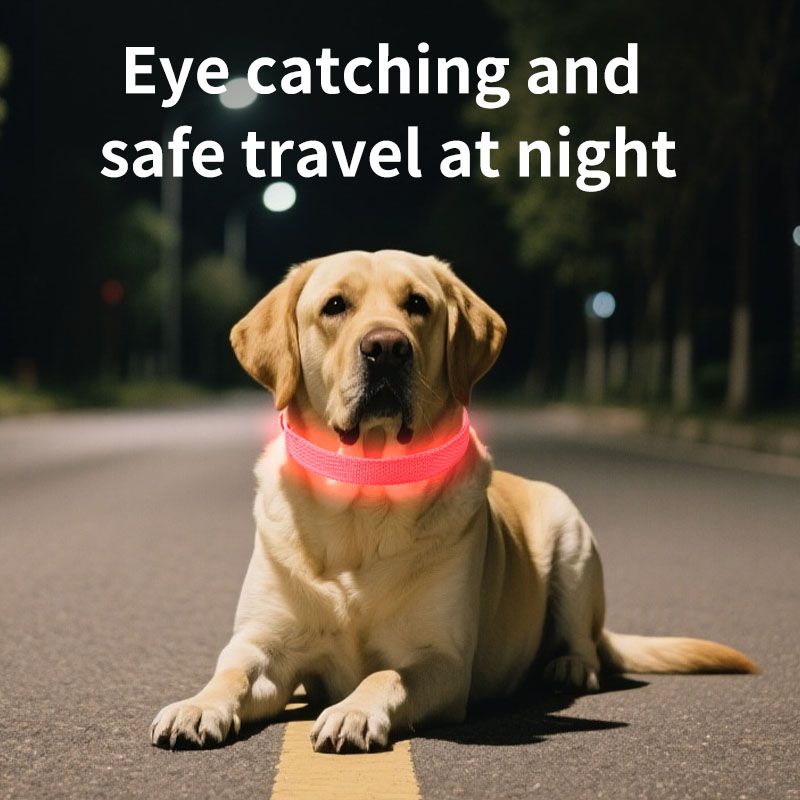Pink LED Light-Up Dog & Cat Collar - USB Rechargeable, Adjustable, Glow-in-the-Dark Safety Collar
